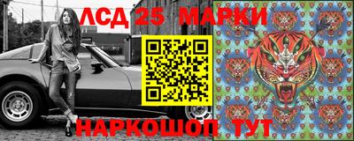 индика Вязьма