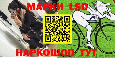 индика Вязьма