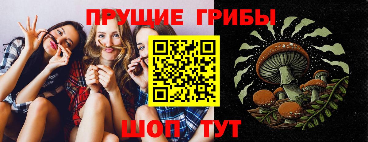 Галлюциногенные грибы GOLDEN TEACHER  Вход с VPN  Дербент 