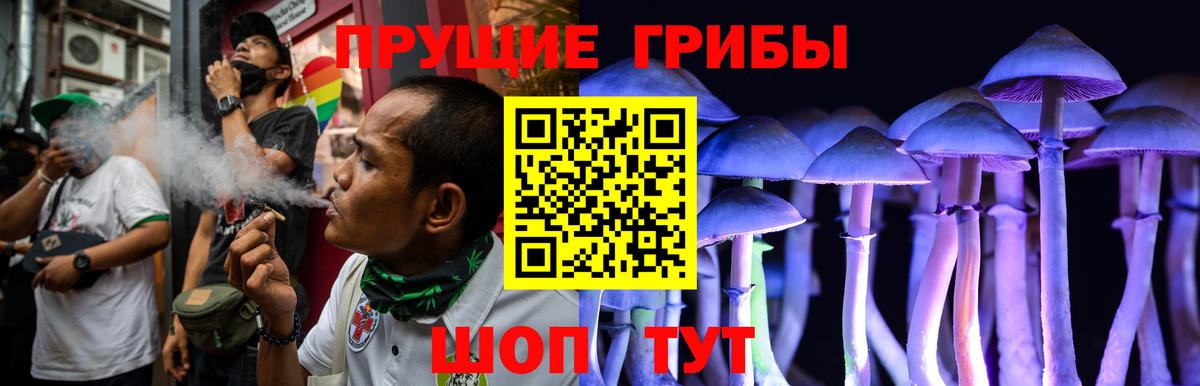 Галлюциногенные грибы Magic Shrooms Дербент